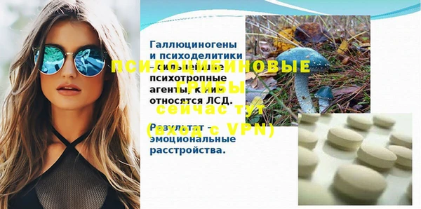 молекула духа Балахна