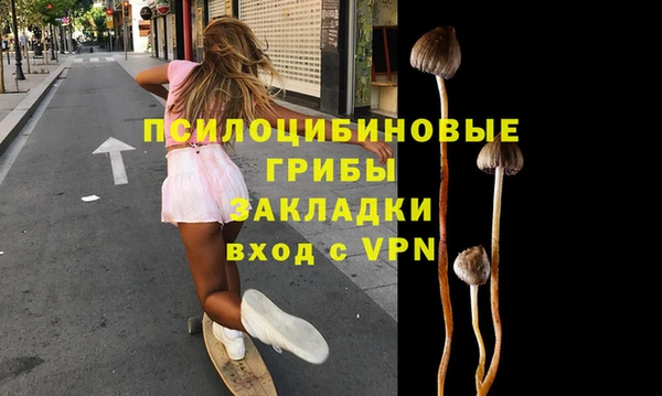 молекула духа Балахна