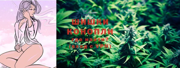 крисы Няндома