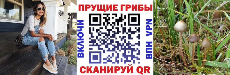 Галлюциногенные грибы GOLDEN TEACHER  Солигалич 