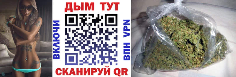 где продают наркотики  Солигалич  mega ССЫЛКА  Шишки марихуана SATIVA & INDICA 